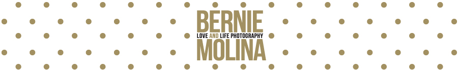 Bernie and Molina | Love and Life Photography logo